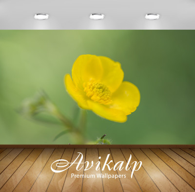Avikalp Nature Wallpaper(60.96 cm X 91.44 cm)