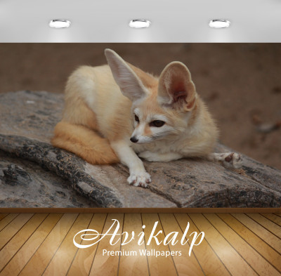 Avikalp Nature Wallpaper(60.96 cm X 91.44 cm)