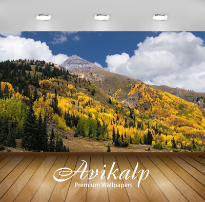 Avikalp Nature Wallpaper(60.96 cm X 91.44 cm)