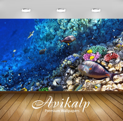 Avikalp Nature Wallpaper(60.96 cm X 91.44 cm)