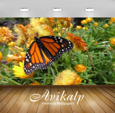 Avikalp Nature Wallpaper(60.96 cm X 91.44 cm)