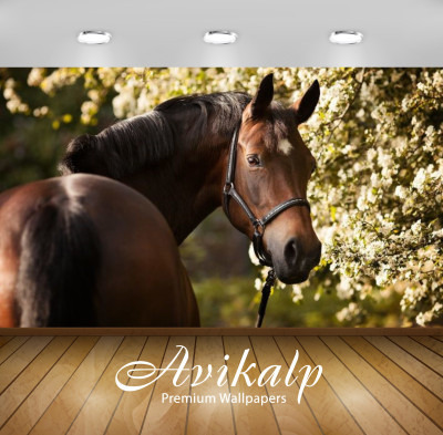 Avikalp Nature Wallpaper(60.96 cm X 91.44 cm)