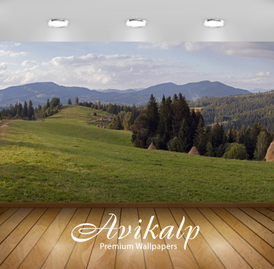 Avikalp Nature Wallpaper(60.96 cm X 91.44 cm)