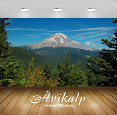 Avikalp Nature Wallpaper(60.96 cm X 91.44 cm)