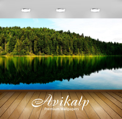 Avikalp Nature Wallpaper(60.96 cm X 91.44 cm)