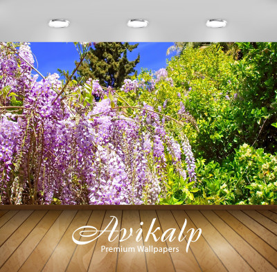 Avikalp Nature Wallpaper(60.96 cm X 91.44 cm)