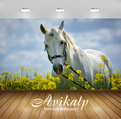 Avikalp Nature Wallpaper(60.96 cm X 91.44 cm)