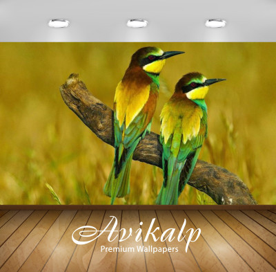 Avikalp Nature Wallpaper(60.96 cm X 91.44 cm)