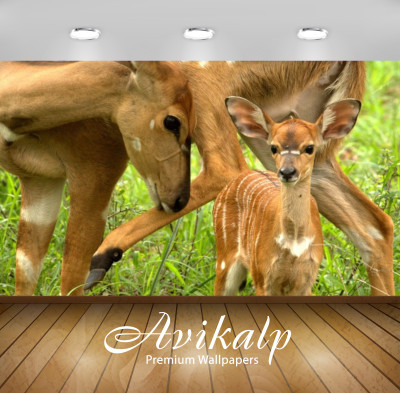 Avikalp Nature Wallpaper(60.96 cm X 91.44 cm)