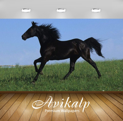 Avikalp Nature Wallpaper(60.96 cm X 91.44 cm)