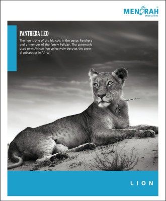 Menorah Regular Notebook(Folio Softcover - Checked -172Pages - Pack Of 5 (Animals ), Multicolor, Pack of 5)
Menorah Regular Notebook(Folio Softcover - Checked -172Pages - Pack Of 5 (Animals ), Multicolor, Pack of 5)