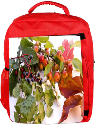 Snoogg Eco Friendly Canvas Autumn Backpack Rucksack School Travel Unisex Casual Canvas Bag Bookbag Satchel 5 L Backpack(Red)
Snoogg Eco Friendly Canvas Autumn Backpack Rucksack School Travel Unisex Casual Canvas Bag Bookbag Satchel 5 L Backpack(Red)