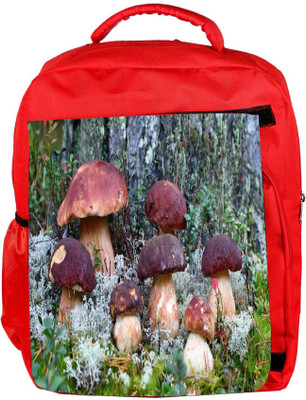 Snoogg Eco Friendly Canvas Dark Red Mushroom Designer Backpack Rucksack School Travel Unisex Casual Canvas Bag Bookbag Satchel 5 L Backpack(Red)
Snoogg Eco Friendly Canvas Dark Red Mushroom Designer Backpack Rucksack School Travel Unisex Casual Canvas Bag Bookbag Satchel 5 L Backpack(Red)