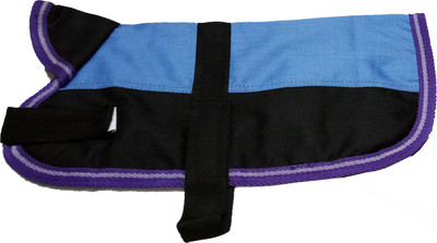 Petshop7 Coat for Dog(Blue