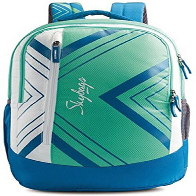 Skybags pogo extra 01 green 35 L Backpack(Green)