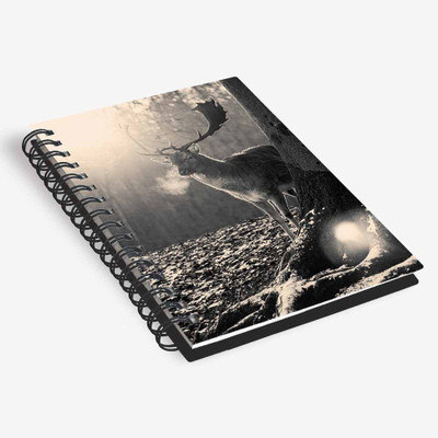 inktree A6 Diary(Designer Diary, Multicolor)