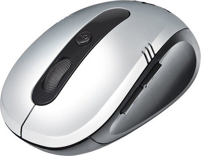ProDot WM-175 Wireless Laser Gaming Mouse(USB, GRAY)