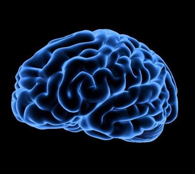 Mugs4You Human Brain 3D Mousepad for Computer, PC, Laptop Mousepad(Multicolor)
Mugs4You Human Brain 3D Mousepad for Computer, PC, Laptop Mousepad(Multicolor)