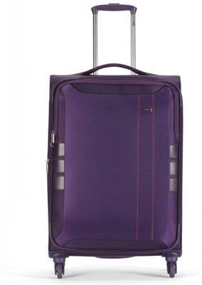 VIP PIONEER Expandable Check-in Luggage - inch(Purple
