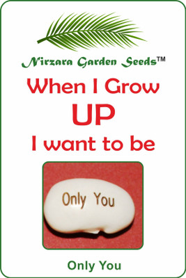 Nirzara Garden Seeds Valentines Only You Seed(1 per packet)