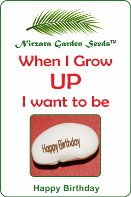 Nirzara Garden Seeds Happy Birthday Seed(1 per packet)