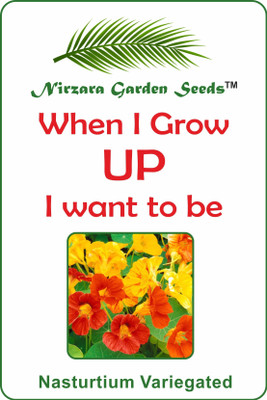 Nirzara Garden Seeds Nasturtium Variegated - 30 Seed(30 per packet)