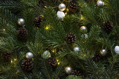 KumkumArts Christmas Poster 12 x 18 Inch HD Quality Image, Gloss Paper, Unframed, Qty 1 Paper Print(18 inch X 12 inch, Rolled)
KumkumArts Christmas Poster 12 x 18 Inch HD Quality Image, Gloss Paper, Unframed, Qty 1 Paper Print(18 inch X 12 inch, Rolled)