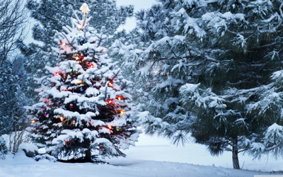 KumkumArts Christmas Poster 12 x 18 Inch HD Quality Image, Gloss Paper, Unframed, Qty 1 Paper Print(18 inch X 12 inch, Rolled)
KumkumArts Christmas Poster 12 x 18 Inch HD Quality Image, Gloss Paper, Unframed, Qty 1 Paper Print(18 inch X 12 inch, Rolled)