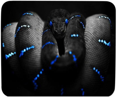 GMX Mouse Pads for Laptop, PC Snake print for office pc and home computer - S.No : 0094 Mousepad(Multicolor)
GMX Mouse Pads for Laptop, PC Snake print for office pc and home computer - S.No : 0094 Mousepad(Multicolor)