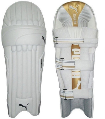 Puma EVO SE ( GOLD EDITION ) Men's (39 - 43 cm) Batting Pad(WHITE GOLD, Men, Senior)