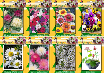 Airex Flowering Kale, Petunia Mixed, Chyrsantheum, Pansy Viola Mixed, Sweet Sultan, Alyssum White, Lotus and Babuna White Flower Seeds (Pack of 25 Seeds * 8 Per Packet) Seed(25 per packet)
Airex Flowering Kale, Petunia Mixed, Chyrsantheum, Pansy Viola Mixed, Sweet Sultan, Alyssum White, Lotus and Babuna White Flower Seeds (Pack of 25 Seeds * 8 Per Packet) Seed(25 per packet)