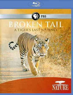 NATURE:BROKEN TAIL TIGERS LAST JOURN(Blu-ray English)