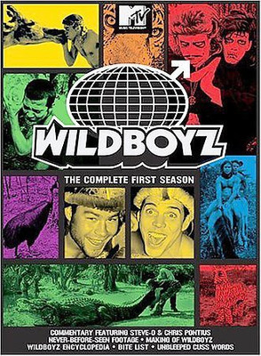 WILDBOYZ:COMPLETE FIRST SEASON(DVD English)