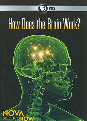 NOVA:SCIENCENOW HOW DOES THE BRAIN WO(DVD English)