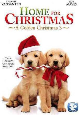 HOME FOR CHRISTMAS:GOLDEN CHRISTMAS 3(DVD English)