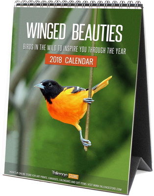 Tallenge Best Selling Desk Calendar 2018 - Winged Beauties - Birds Desk Calendar For Home & Office 2018 Table Calendar(Green, Birds Posters)
Tallenge Best Selling Desk Calendar 2018 - Winged Beauties - Birds Desk Calendar For Home & Office 2018 Table Calendar(Green, Birds Posters)