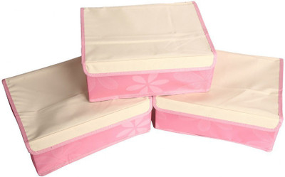 House of Quirk Lingerie Storage Case(Bra and Panty, Pack of 3)