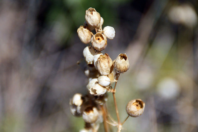 KumkumArts Scenary Poster 12 x 18 Inch, HD Quality Image, Gloss Paper, Unframed, Qty 1 Paper Print(18 inch X 12 inch, Rolled)
KumkumArts Scenary Poster 12 x 18 Inch, HD Quality Image, Gloss Paper, Unframed, Qty 1 Paper Print(18 inch X 12 inch, Rolled)