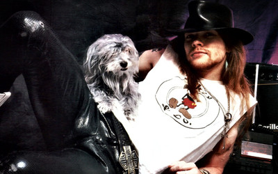 KumkumArts Guns And Roses Poster 12 x 18 Inch, HD Quality Image, Gloss Paper, Unframed, Qty 1 Paper Print(18 inch X 12 inch, Rolled)
KumkumArts Guns And Roses Poster 12 x 18 Inch, HD Quality Image, Gloss Paper, Unframed, Qty 1 Paper Print(18 inch X 12 inch, Rolled)