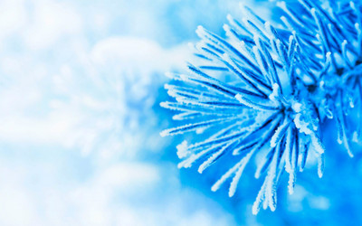 KumkumArts Winter Poster 12 x 18 Inch, HD Quality Image, Gloss Paper, Unframed, Qty 1 Paper Print(18 inch X 12 inch, Rolled)
KumkumArts Winter Poster 12 x 18 Inch, HD Quality Image, Gloss Paper, Unframed, Qty 1 Paper Print(18 inch X 12 inch, Rolled)