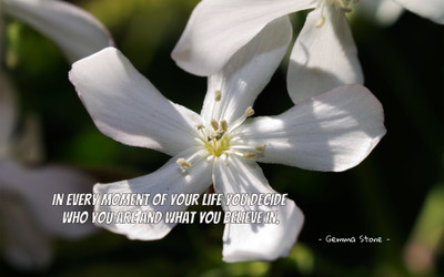 Akhuratha aquote-quotes-belief-decision-individual Wall Poster Paper Print(12 inch X 18 inch, Rolled)
Akhuratha aquote-quotes-belief-decision-individual Wall Poster Paper Print(12 inch X 18 inch, Rolled)