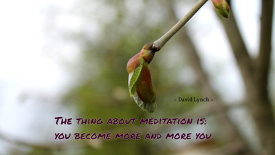 Akhuratha aquote-quotes-meditation Wall Poster Paper Print(12 inch X 18 inch, Rolled)
Akhuratha aquote-quotes-meditation Wall Poster Paper Print(12 inch X 18 inch, Rolled)