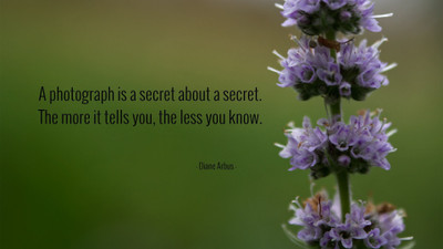 Akhuratha a-quote-quotes-secret-photograph Wall Poster Paper Print(12 inch X 18 inch, Rolled)
Akhuratha a-quote-quotes-secret-photograph Wall Poster Paper Print(12 inch X 18 inch, Rolled)