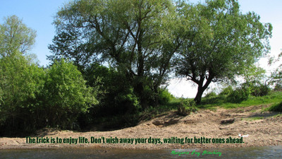 Akhuratha a-quote-quotes-day-wish-trick Wall Poster Paper Print(12 inch X 18 inch, Rolled)
Akhuratha a-quote-quotes-day-wish-trick Wall Poster Paper Print(12 inch X 18 inch, Rolled)