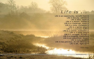 Akhuratha ainspirational-quote-theresa-mother-life--imageres-newresolution Wall Poster Paper Print(12 inch X 18 inch, Rolled)
Akhuratha ainspirational-quote-theresa-mother-life--imageres-newresolution Wall Poster Paper Print(12 inch X 18 inch, Rolled)