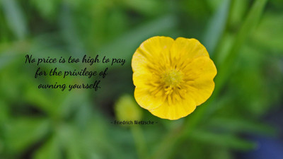 Akhuratha aquote-quotes-price-privilege Wall Poster Paper Print(12 inch X 18 inch, Rolled)
Akhuratha aquote-quotes-price-privilege Wall Poster Paper Print(12 inch X 18 inch, Rolled)