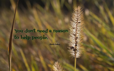 Akhuratha aquote-quotes-reason-help Wall Poster Paper Print(12 inch X 18 inch, Rolled)
Akhuratha aquote-quotes-reason-help Wall Poster Paper Print(12 inch X 18 inch, Rolled)