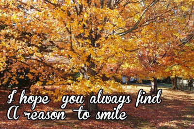 Akhuratha Wall Poster -i-hope-you-always-find-a-reason-to-smile-wahrvucc Paper Print(18 inch X 12 inch, Rolled)
Akhuratha Wall Poster -i-hope-you-always-find-a-reason-to-smile-wahrvucc Paper Print(18 inch X 12 inch, Rolled)