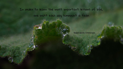 Akhuratha a-quote-quotes-fear-lesson Wall Poster Paper Print(12 inch X 18 inch, Rolled)
Akhuratha a-quote-quotes-fear-lesson Wall Poster Paper Print(12 inch X 18 inch, Rolled)