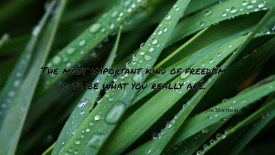 Akhuratha a-quote-quotes-freedom-individual Wall Poster Paper Print(12 inch X 18 inch, Rolled)
Akhuratha a-quote-quotes-freedom-individual Wall Poster Paper Print(12 inch X 18 inch, Rolled)